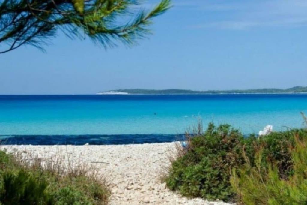 Apartment Lordanic Zaglav, Dugi Otok Exterior foto